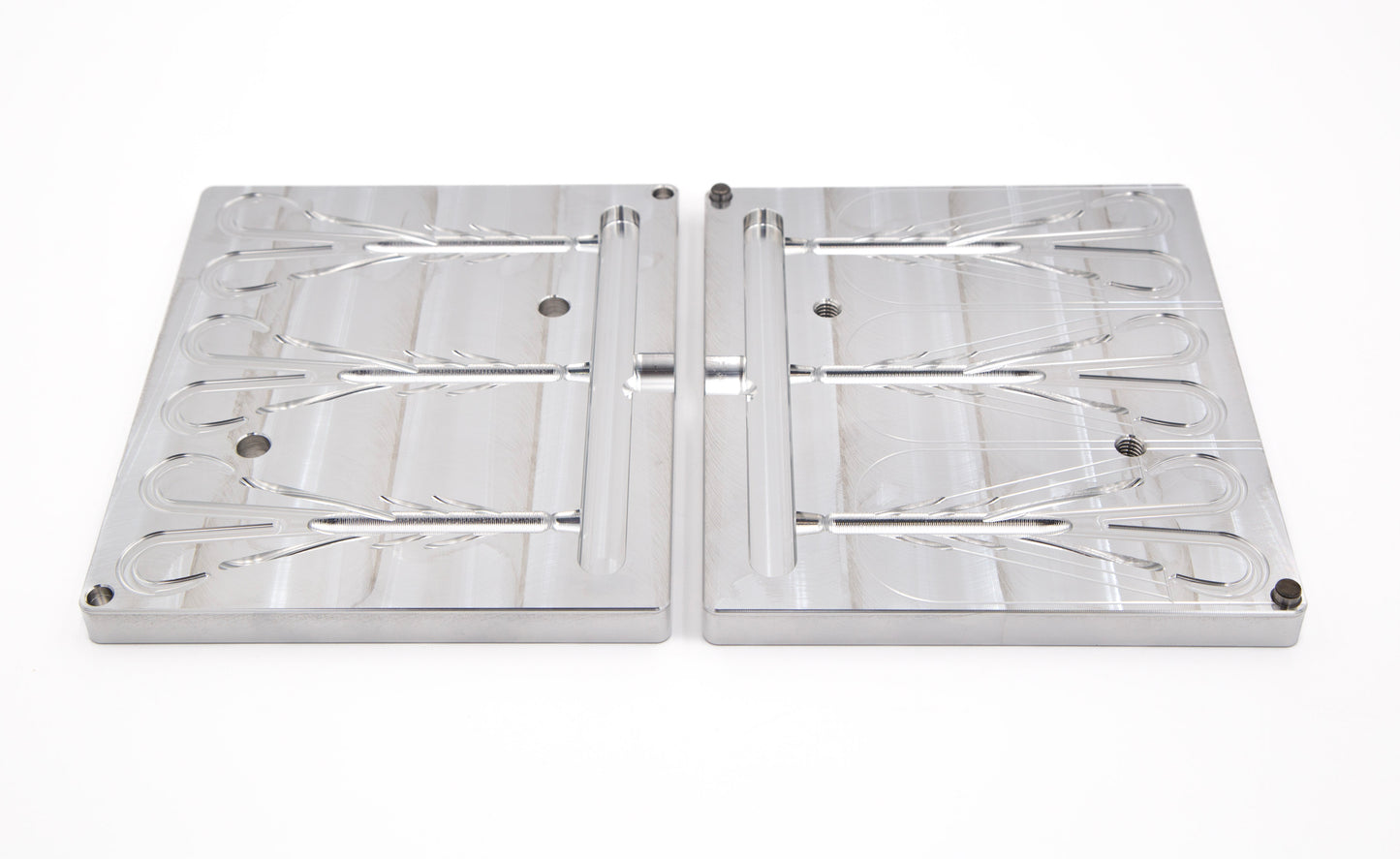 5.5" Swamp Crawler Mold